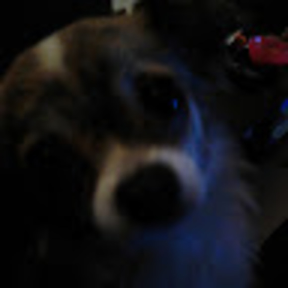 Meet your Posher, Melissa - Picture 1 of 1